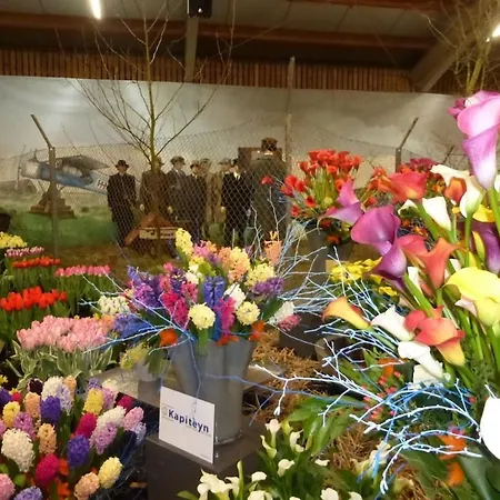 30 Duenenrose 度假居 *